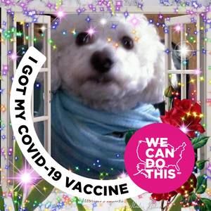 Meet your Posher, Mary ann